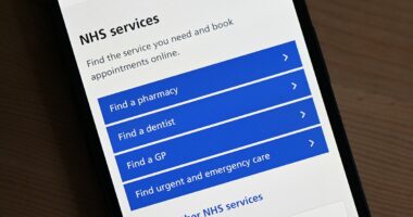Online GPs appointments are 'putting patients at risk', report warns