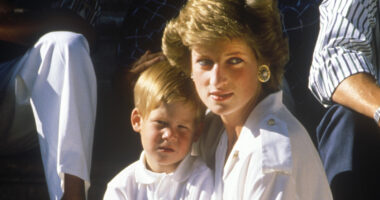 Princess Diana's Birthday Is A Reminder Of How Sad The William Vs. Harry Feud Has Become