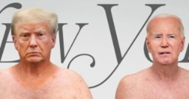 Provocative New York magazine cover shows topless Trump, 78, and Biden, 81, amid fears about their age and health: 'Wildly disrespectful'