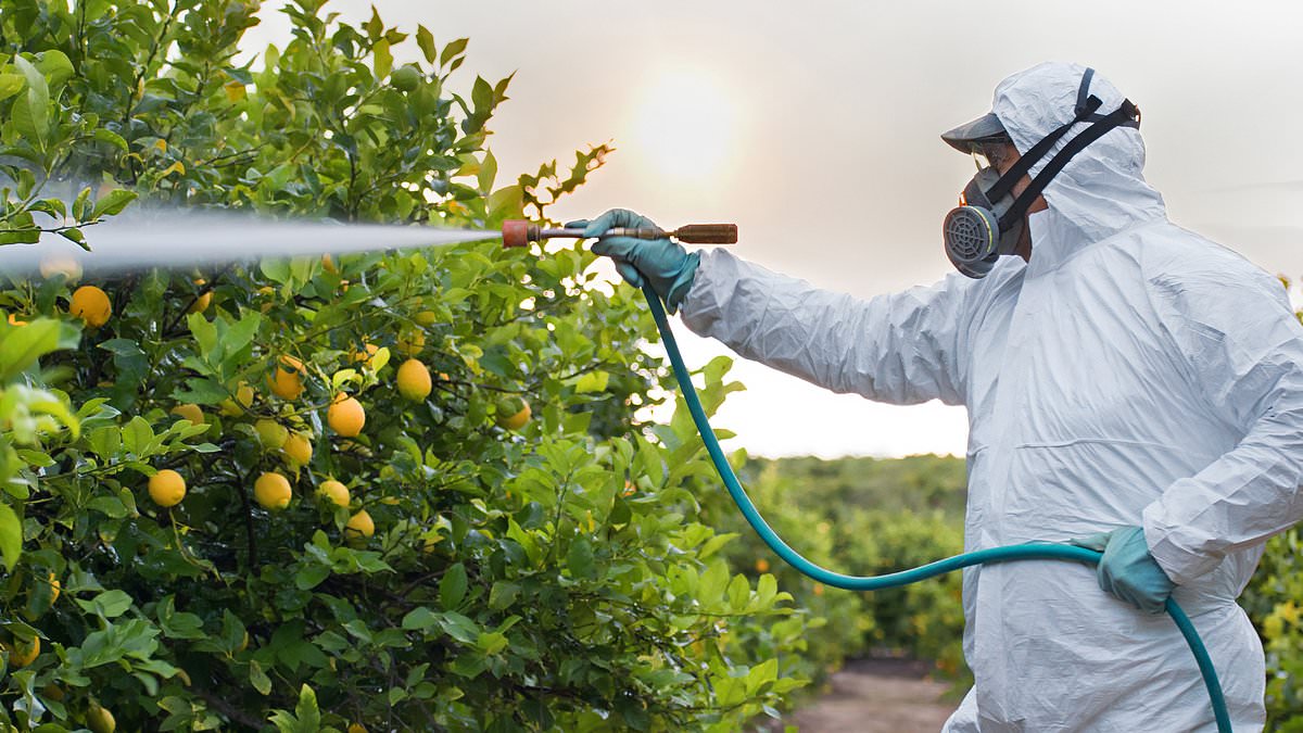 Study claims cancer-causing pesticides in fruits and vegetables are as dangerous as SMOKING