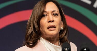 Tragic Details About Kamala Harris' Life