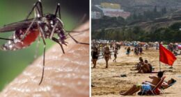 Urgent warning issued as deadly tiger mosquitoes invade popular holiday hotspot