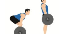 illustration of barbell deadlift