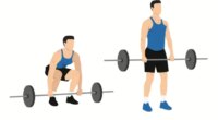 illustration of barbell deadlifts