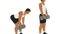 illustration of dumbbell deadlifts free weight exercises for men to build muscle