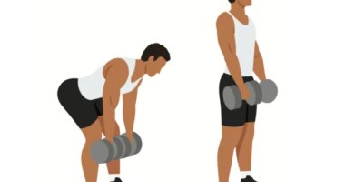 illustration of dumbbell deadlifts free weight exercises for men to build muscle