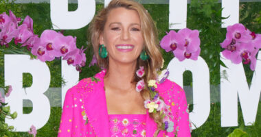 6 Blake Lively Outfits That Completely Missed The Mark