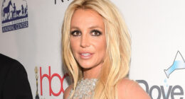 Britney Spears’ friends and family ‘concerned’ after she rekindles with ex Paul Soliz as they fear he’s ‘using her’
