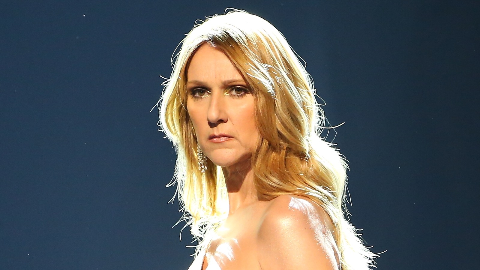 Céline Dion Has Worn Some Very Risqué Outfits Over The Years