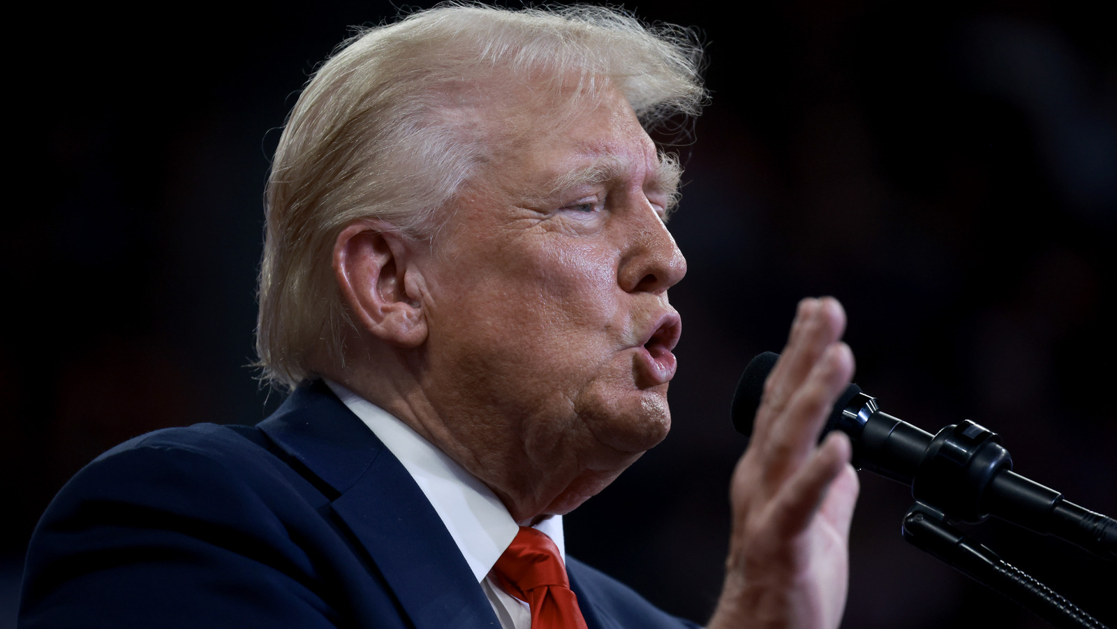 Donald Trump's Combover Holds On For Dear Life In New Rally Photo