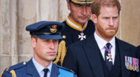 Prince William & Prince Harry's Funeral Meetup Continues A Tragic Pattern In Their Feud