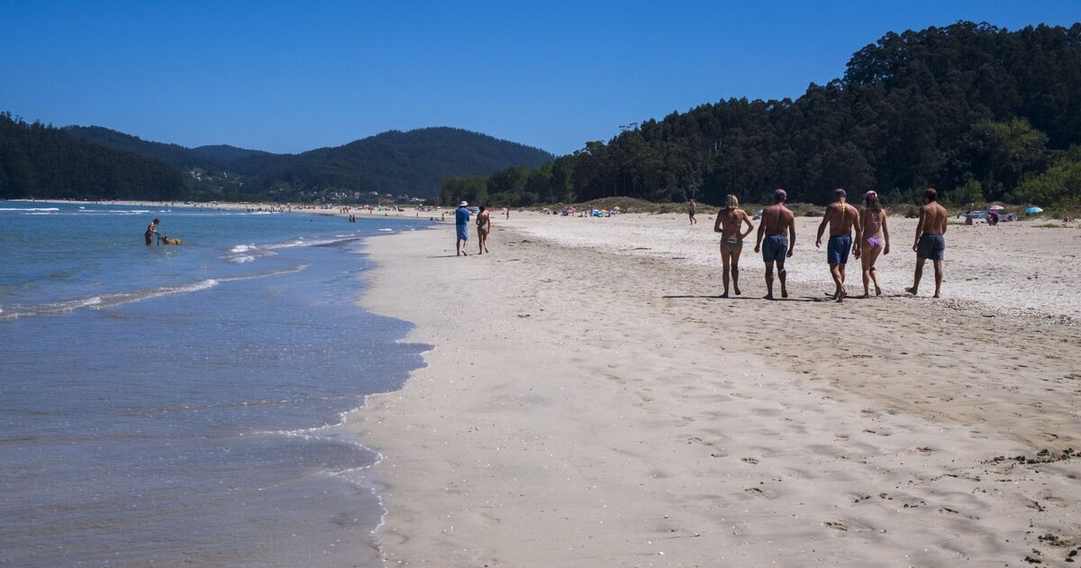 Spain holidaymakers warned as 7,500 people treated in hospital for beach stings