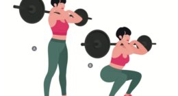 illustration of barbell front squat exercise