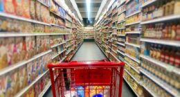 DR CHRIS VAN TULLEKEN: There's a catastrophe of suffering and death caused by ultra-processed foods... and the experts supposed to protect us are taking money from big food companies