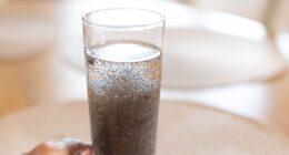 Doctor shares 'better' alternative to chia seeds to help with digestion issues