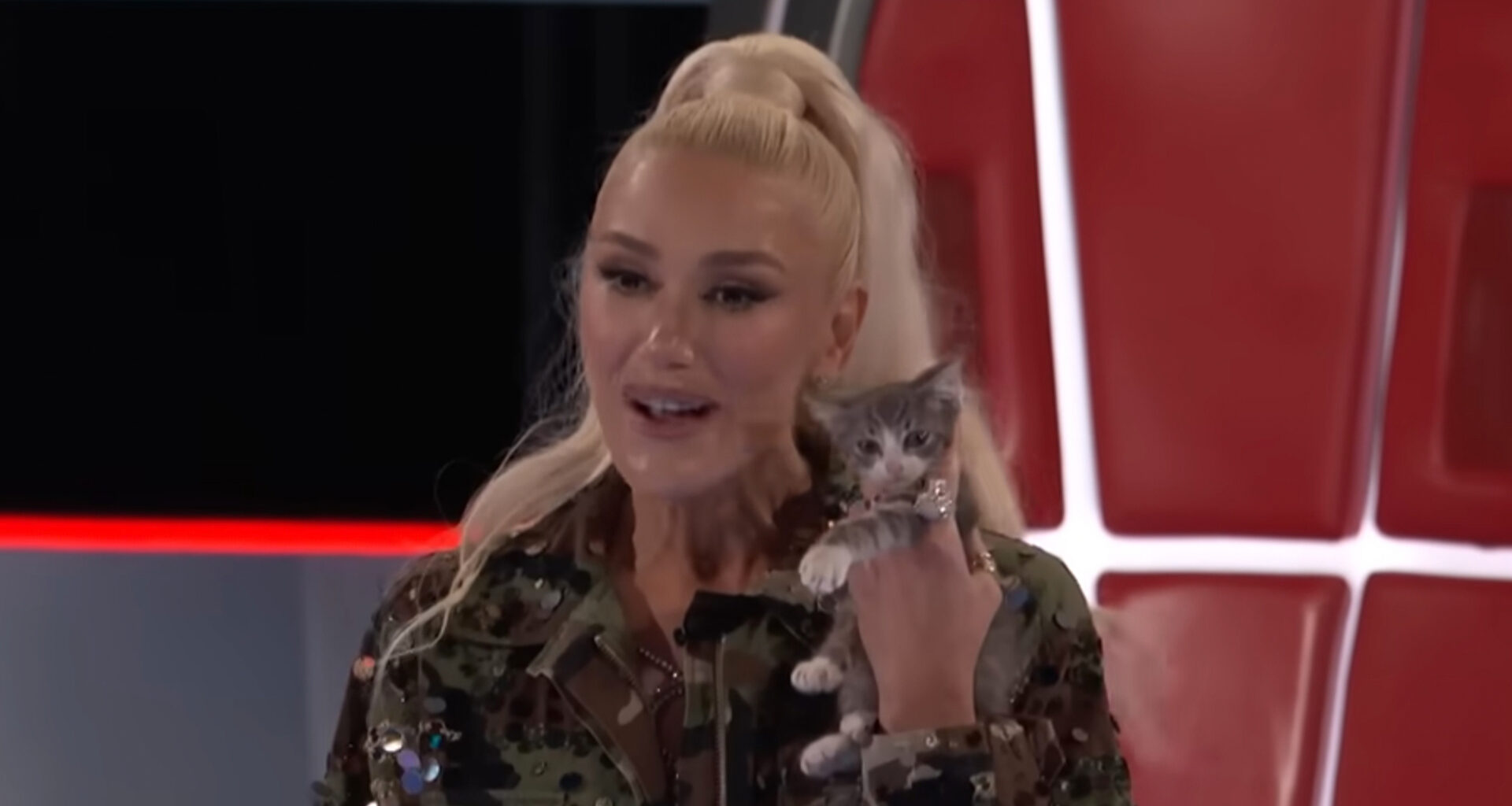 Gwen Stefani slammed for ‘disturbing’ treatment of ‘terrified’ tiny kitten on The Voice premiere