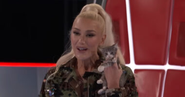 Gwen Stefani slammed for ‘disturbing’ treatment of ‘terrified’ tiny kitten on The Voice premiere