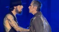 Jane’s Addiction CANCELS gig after frontman punched guitarist Dave Navarro on stage amid fears it was band’s last show