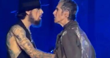 Jane’s Addiction CANCELS gig after frontman punched guitarist Dave Navarro on stage amid fears it was band’s last show