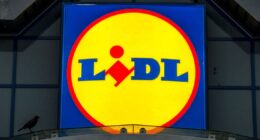 Lidl’s 69p snack that may slash your risk of heart disease and cholesterol