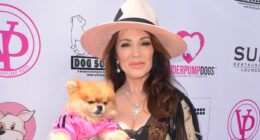 Lisa Vanderpump’s dog charity settles ex-staffer’s $250k lawsuit accusing company of ‘intolerable working conditions’