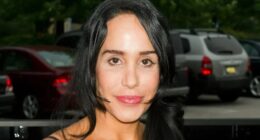 Octomom Nadya Suleman, 49, becomes grandma for first time as she welcomes new addition to her family