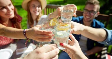 One in three drinkers turning their backs on booze: Brits now raising glasses to 'alcohol-free' versions of their favourite tipple