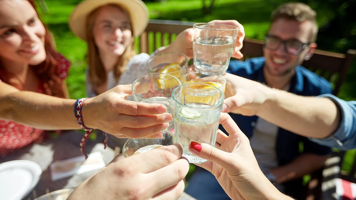 One in three drinkers turning their backs on booze: Brits now raising glasses to 'alcohol-free' versions of their favourite tipple