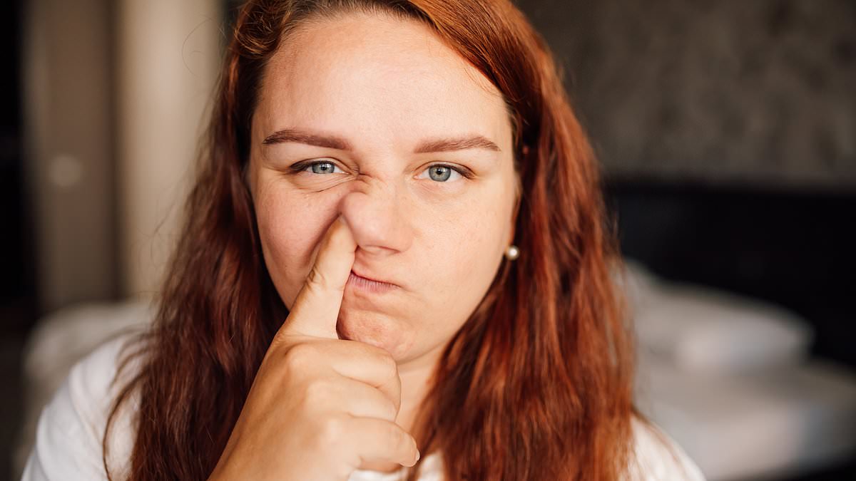 Picking your nose is a 'significant risk factor' for ALZHEIMER'S, research suggests