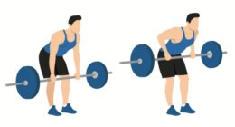 illustration of man doing barbell row