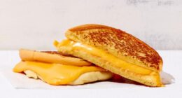 grilled cheese from Shake Shack