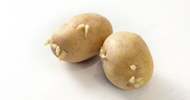 Doctor issues 'do not eat' warning over potatoes with two subtle signs