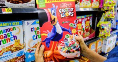 Ex-FDA food expert reveals why Kellogg's Froot Loops is worst cereal in US- amid calls for cancer chemical ban