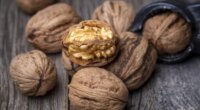 Nut Consumption Enhances Male Fertility — Stock Photo