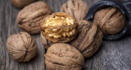 Nut Consumption Enhances Male Fertility — Stock Photo