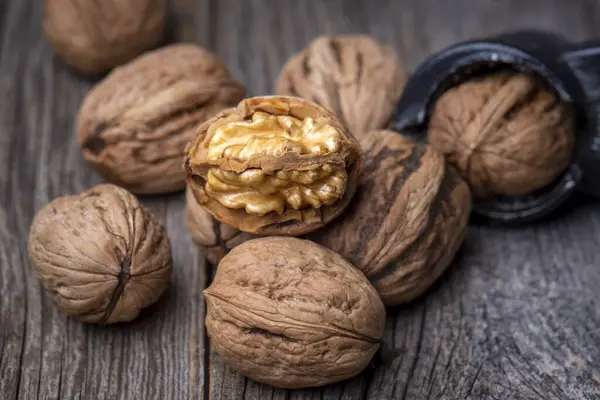 Nut Consumption Enhances Male Fertility — Stock Photo