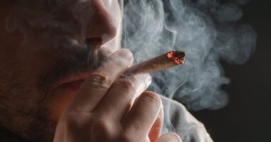 Experts discover the amount of cannabis you need to smoke to cause brain damage - and it's not much