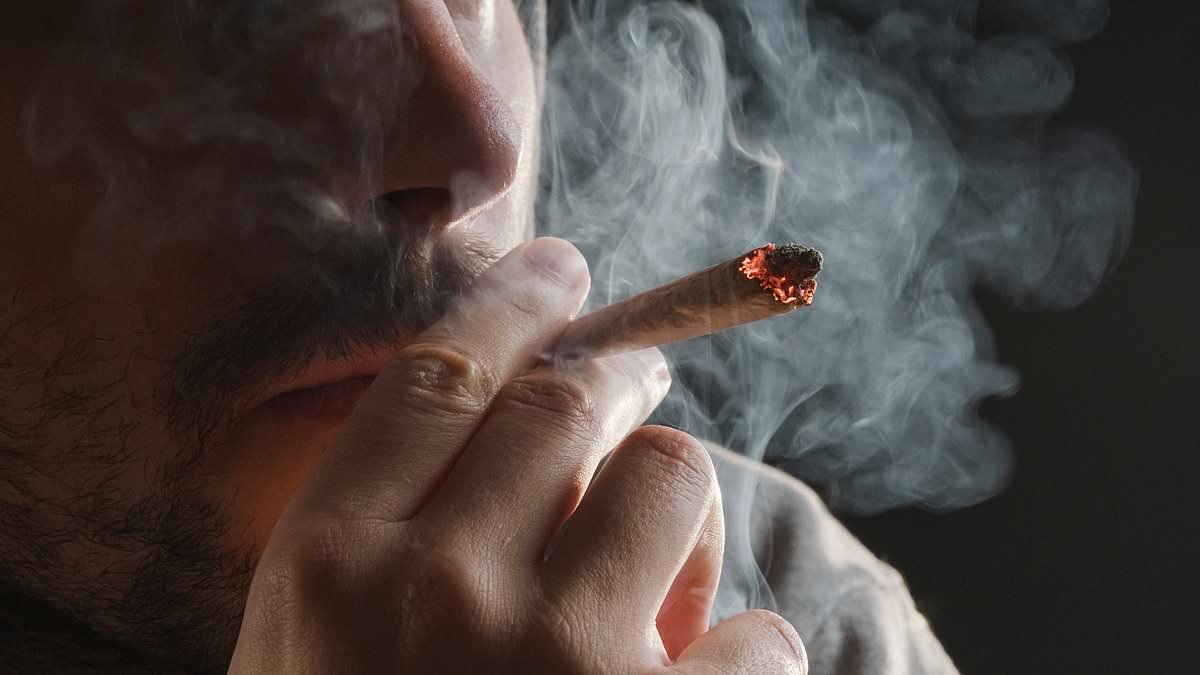 Experts discover the amount of cannabis you need to smoke to cause brain damage - and it's not much