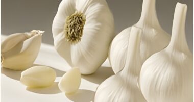 Is Raw Garlic a Health Booster or a Digestive Risk?