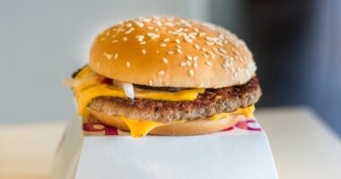 McDonald's hit by major E Coli outbreak with one dead and dozens sick- as chain pulls popular burger