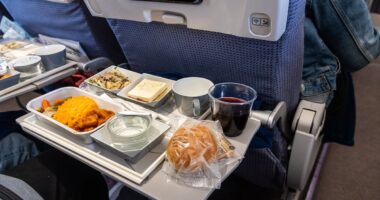 Nutrition expert reveals why you should NEVER eat while flying... even in first class