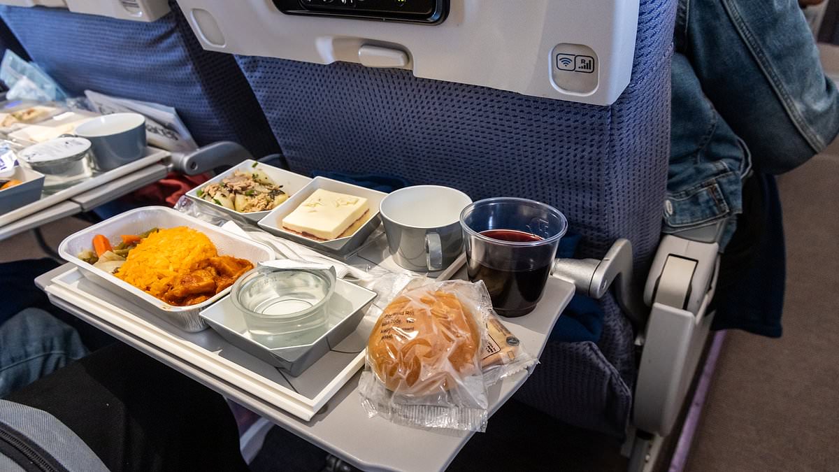 Nutrition expert reveals why you should NEVER eat while flying... even in first class