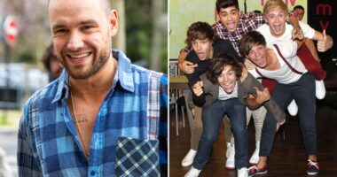 One Direction feud FINALLY revealed as Liam Payne’s ex reveals which band member ‘threw him against a wall’