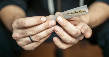 Smoking cannabis could damage lining of smokers' brains, research suggests amid fears over use of drug among teenagers