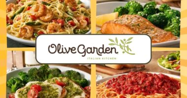 Olive Garden logo and four dishes on a yellow background