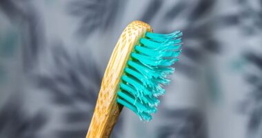 Toothbrushes and showerheads covered in viruses unlike any seen before, study finds