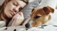 'I let my dog sleep in bed – but I'm having second thoughts after bathing her'