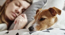 'I let my dog sleep in bed – but I'm having second thoughts after bathing her'