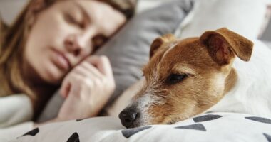 'I let my dog sleep in bed – but I'm having second thoughts after bathing her'