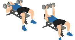 illustration of dumbbell bench press